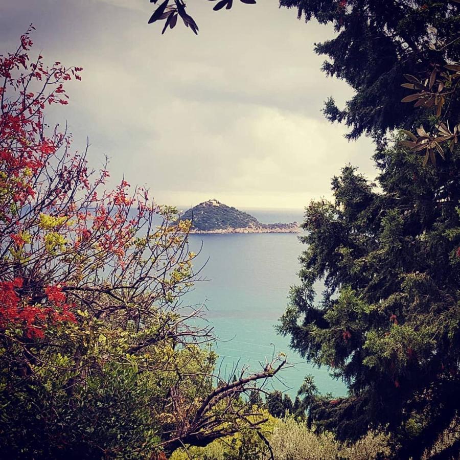 Salvia E Rosmarino - Affittacamere In Liguria ヴィッラノーヴァ・ダルベンガ エクステリア 写真