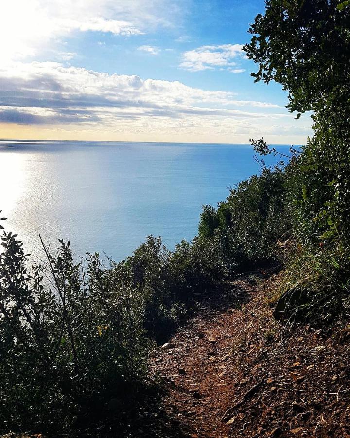 Salvia E Rosmarino - Affittacamere In Liguria ヴィッラノーヴァ・ダルベンガ エクステリア 写真