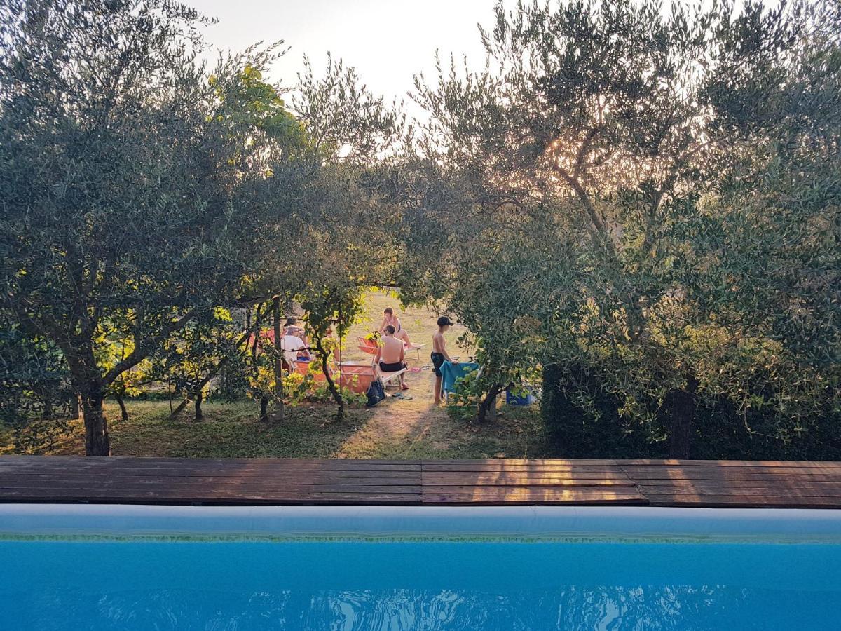 Salvia E Rosmarino - Affittacamere In Liguria ヴィッラノーヴァ・ダルベンガ エクステリア 写真