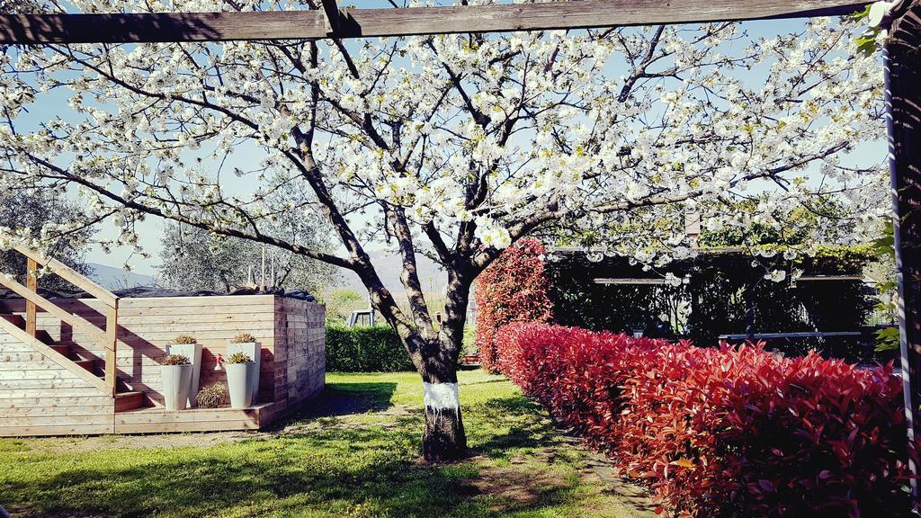 Salvia E Rosmarino - Affittacamere In Liguria ヴィッラノーヴァ・ダルベンガ エクステリア 写真