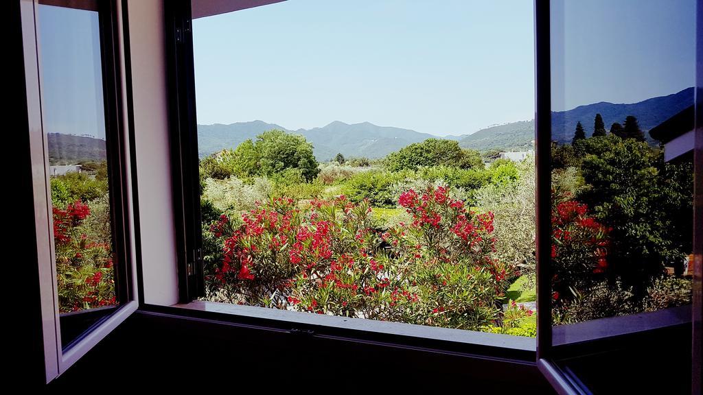 Salvia E Rosmarino - Affittacamere In Liguria ヴィッラノーヴァ・ダルベンガ エクステリア 写真