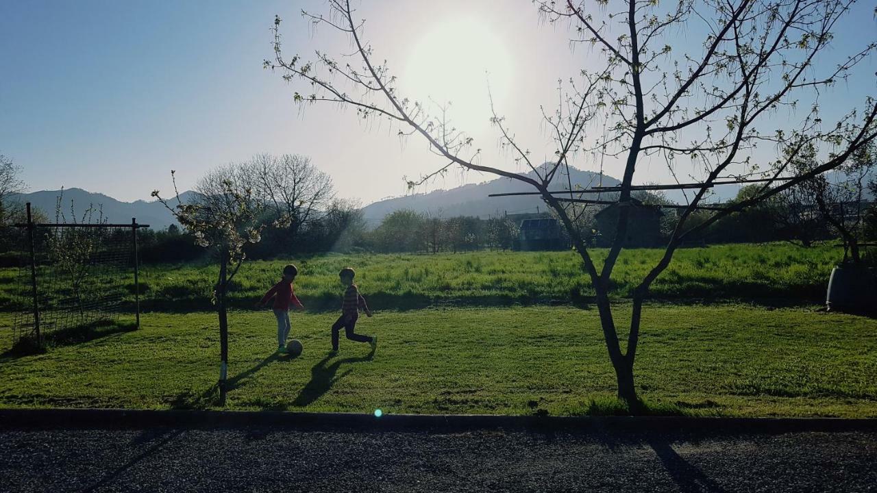 Salvia E Rosmarino - Affittacamere In Liguria ヴィッラノーヴァ・ダルベンガ エクステリア 写真